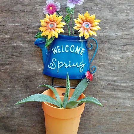 La Casa Dei Sogni Appartement Falconara Marittima