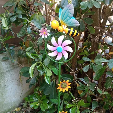 La Casa Dei Sogni Falconara Marittima